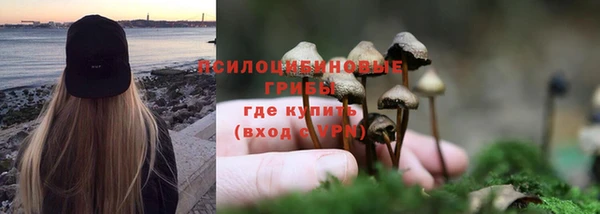 гашик Балахна