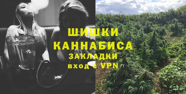 гашик Балахна