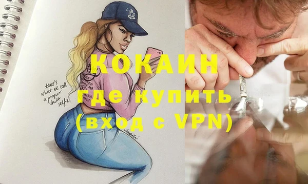 гашик Балахна