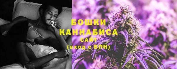дживик Липки