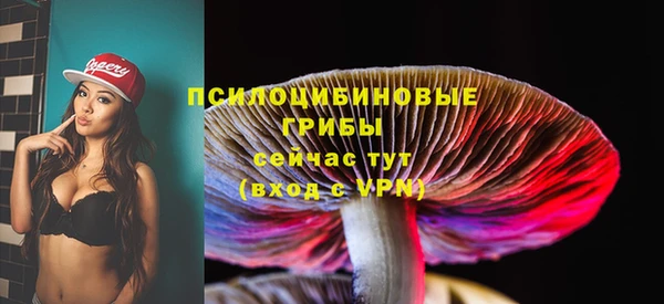 гашик Балахна