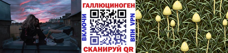 omg   Буинск  Галлюциногенные грибы ЛСД 